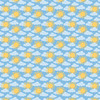 25 Pack - Echo Park Dragonfly Cardstock 12"X12"-Sunny Skies - 5A003WDS-1HS0W