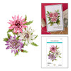 Spellbinders Etched Dies-Astrantia - 5A003XGG-1HSFK