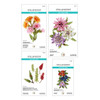 Spellbinders Die Bundle-Serentity Garden - 5A003XFQ-1HSFF - 810205710693