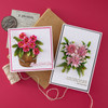 Spellbinders Die Bundle-Serentity Garden - 5A003XFQ-1HSFF