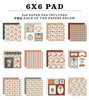 Echo Park Double-Sided Paper Pad 6"X6"-Feels Like Fall - 5A003VXX-1HRF5