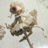 Torn Pape 3D Gloss PET Tape 6m-Ballerina in Bloom - 5A003XNF-1HSNL