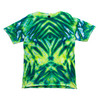 Jacquard Ice Dye Kit-Rainforest - 5A003WPS-1HSB9