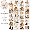 Torn Pape 3D Gloss PET Tape 6m-A Hug in Four Paws - 5A003XMR-1HSN3 - 8800325562335