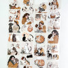 Torn Pape 3D Gloss PET Tape 6m-A Hug in Four Paws - 5A003XMR-1HSN3