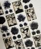 Torn Pape 3D Gloss PET Tape 6m-The Silent Masquerade - 5A003XQ2-1HSLT