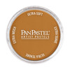 3 Pack - PanPastel Ultra Soft Artist Pastel 9ml- Raw Sienna - PPSTL-1H0M1 - 879465001859
