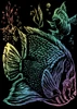 12 Pack - Royal & Langnickel(R) Rainbow Foil Engraving Art Kit 5"X7"-Tropical Fish - RAIMIN-101