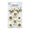 6 Pack - Little Birdie Arcadia Paper Flowers 8/Pkg-Amor Mio - ARCADIA-79577 - 8903236616880