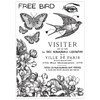 Sizzix Clear Stamp Set 6/Pkg W/Stencils 3/Pkg By Cat Kerr-The Visiter - 5A002BLF-1GF2X