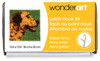 Wonderart Latch Hook Kit 12"X12"-Golden Penny 426908 - 057355483644