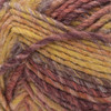 Bernat Symphony Yarn-Autumn Maple - 166121-21005