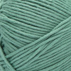3 Pack - Bernat Softee Cotton Yarn-Pool Green - 161269-69010
