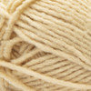 2 Pack - Bernat Forever Fleece Yarn-Chamomile - 166061-61013
