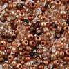 John Bead Czech Seed Beads 24g-6/0 Cooperaction Mix - 63210001-0165