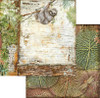 Stamperia Double-Sided Paper Pad 8"X8" 10/Pkg-Amazonia, 10 Designs/1 Each SBBS28
