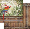 Stamperia Double-Sided Paper Pad 8"X8" 10/Pkg-Amazonia, 10 Designs/1 Each SBBS28