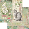 2 Pack Stamperia Double-Sided Paper Pad 8"X8" 10/Pkg-Orchids & Cats, 10 Designs/1 Each SBBS26