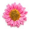 3 Pack - American Crafts Color Pour Resin Mold 2/Pkg-Flowers - 34001596