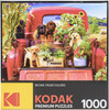 Kodak Premium Jigsaw Puzzle 1000 Pieces 20"X27"-Stowaways - 8700ZZAA - 48951454244174895145424417