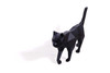 3D Papercraft Model-Cat Black CATTBL