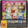 Kodak Premium Jigsaw Puzzle 350 Pieces 18"X24"-Sneaky Kats 8000ZZJ