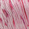 3 Pack - Caron Simply Soft Speckle Yarn-Lipstick - 294961-91016