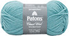 5 Pack - Patons Classic Wool Yarn-Teal Chalk - 244077-77767 - 057355450806