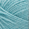 5 Pack Patons Classic Wool Yarn-Teal Chalk 244077-77767