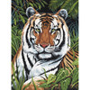 3 Pack Royal Paint By Number Kit Artist Canvas Series 9"X12"-Tiger In Hiding PCS-4