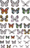 2 Pack - Idea-Ology Transparent Acetate Wings-72/Pkg - TH93785