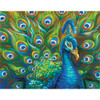 2 Pack - Paint Works Paint By Number Kit 14"X11"-Wild Feathers - 91477