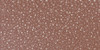 5 Pack Sculpey Premo Premium Oven-Bake Clay 2oz-Rose Gold Glitter PE022-5135 - 715891513590