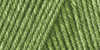2 Pack - Caron One Pound Yarn-Grass Green - 294010-10620