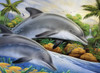 4 Pack Royal & Langnickel(R) Large Paint By Number Kit 15.4"X11.25"-Dolphin Island PJL-44