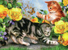 4 Pack Royal & Langnickel(R) Large Paint By Number Kit 15.4"X11.25"-Kitten Play PJL-45