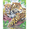 3 Pack Royal & Langnickel Color Pencil By Number Kit 8.75"X11.75"-Jaguar Family CPBNK-10