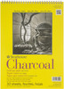 2 Pack - Strathmore Charcoal Spiral Paper Pad 9"X12"-32 Sheets - 330900 - 012017380099