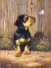 3 Pack Royal & Langnickel(R) Small Paint By Number Kit 8.75"X11.75"-Dachshund Puppy PJS-51