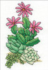 2 Pack Design Works Stitch & Mat Counted Cross Stitch Kit 3"X4.5"-Cactus (18 Count) DW4472