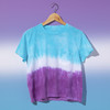 6 Pack - Rit Dye Powder-Purple - 3-13