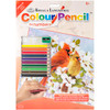 3 Pack Royal & Langnickel Color Pencil By Number Kit 8.75"X11.75"-Cardinals CPBNK-15 - 090672943552