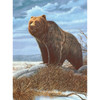 3 Pack Royal & Langnickel(R) Small Paint By Number Kit 8.75"X11.75"-Grizzly Bear PJS-82