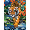 3 Pack Junior Small Paint By Number Kit 8.75"X11.75"-On The Prowl -PJS-84