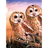 3 Pack Royal & Langnickel(R) Small Paint By Number Kit 8.75"X11.75"-Tawny Owls PJS-87
