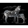 3 Pack - Royal & Langnickel(R) Silver Foil Engraving Art Kit 8"X10"-Zebras - SILVFL-39