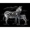 3 Pack Royal & Langnickel(R) Silver Foil Engraving Art Kit 8"X10"-Zebras SILVFL-39