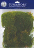 3 Pack - SuperMoss Preserved Sheet Moss 2oz-Green - FS21550 - 759834215509