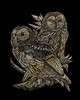3 Pack - Royal & Langnickel(R) Gold Foil Engraving Art Kit 8"X10"-Owls - GOLDFL-13 3 Pack - Royal & Langnickel(R) Gold Foil Engraving Art Kit 8"X10"-Owls - GOLDFL-13