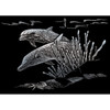6 Pack - Royal & Langnickel(R) Silver Foil Engraving Art Kit 5"X7"-Dolphin Reef - SILMIN-105